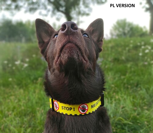Zdjęcie produktu Obroża regulowana - DO NOT PET 6