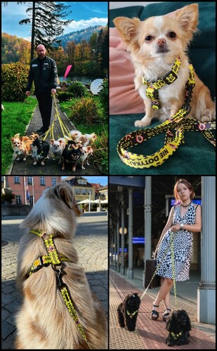 Zdjęcie produktu Obroża regulowana - DO NOT PET 9