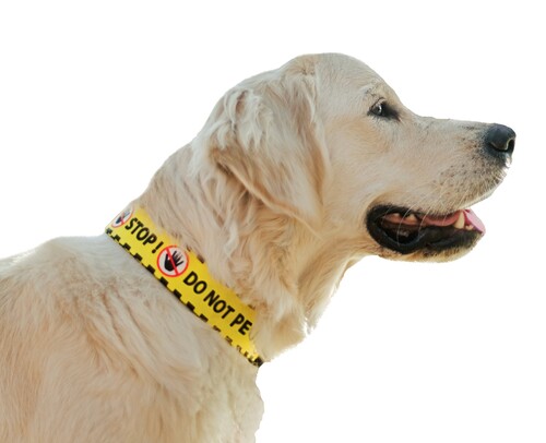 Zdjęcie produktu Obroża regulowana - DO NOT PET 3
