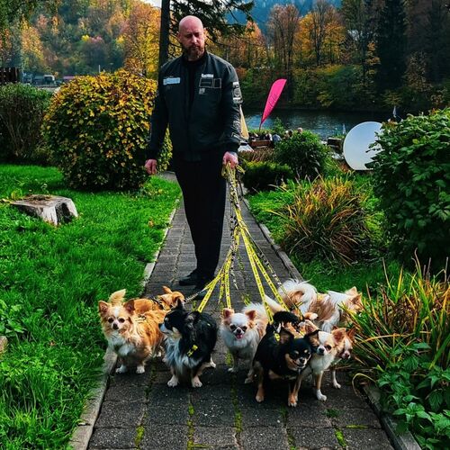 Zdjęcie produktu Smycz przepinana - DO NOT PET 3