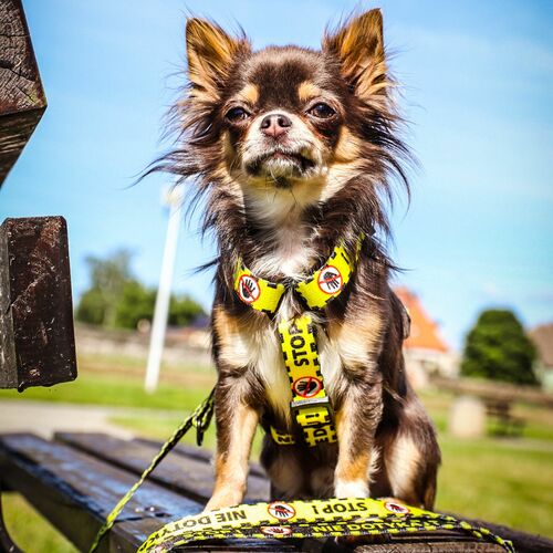 Product photo City 'Nie Dotykaj' Guard Harness 2