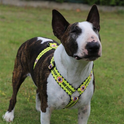 Product photo City 'Nie Dotykaj' Guard Harness 9