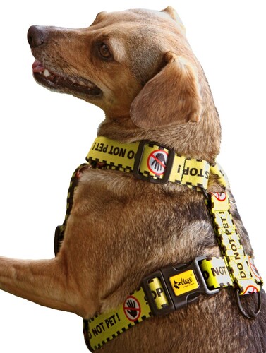 Zdjęcie produktu Szelki guard - DO NOT PET 3