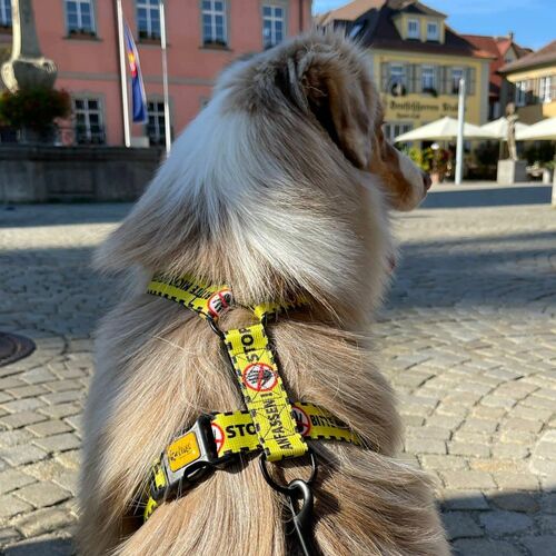 Zdjęcie produktu Szelki guard - BITTE NICHT ANFASSEN 5