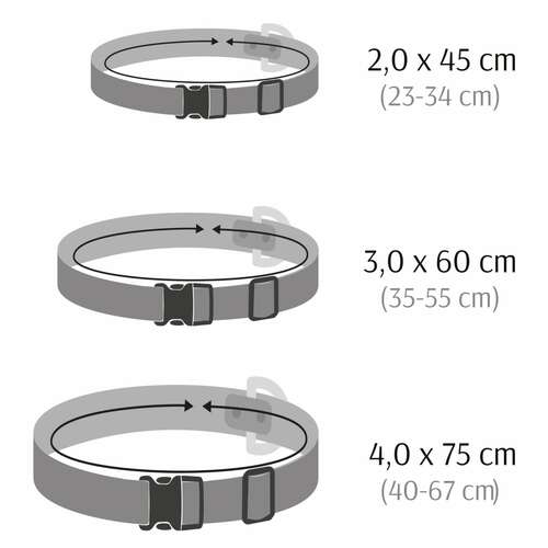 Zdjęcie produktu Obroza regulowana CITY - Chiapas 5