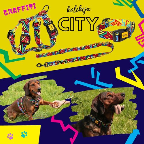 Zdjęcie produktu Obroza regulowana CITY - GRAFFITI 3