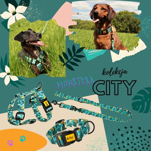 Product photo City Monstera Leash 3