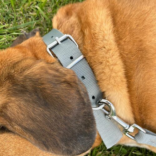 Zdjęcie produktu Obroża z taśmy polipropylenowej z metalową spinką 10