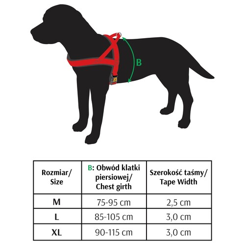 Product photo Norwegian Harness 3