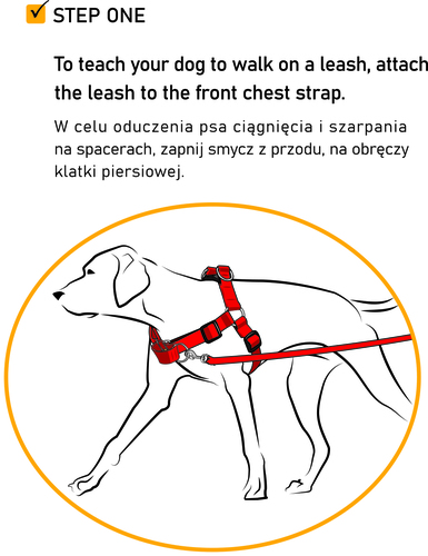 Zdjęcie produktu Szelki EASY - WALK 3