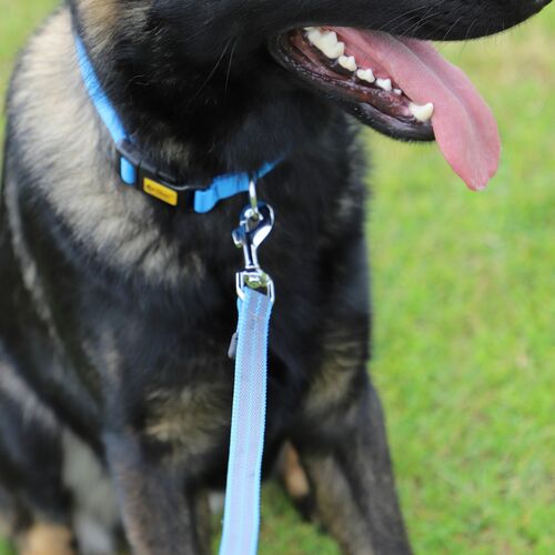 Product photo Anty-Slip Leash With Rubber, 2,0X230Cm Blue 6