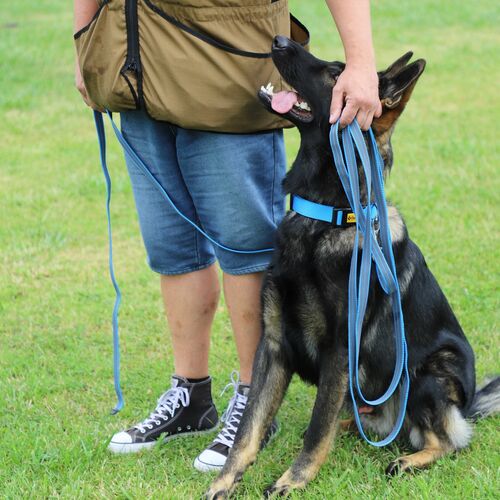 Product photo Anty-Slip Training Leash With Rubber 4