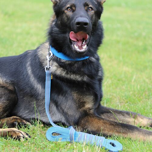 Product photo Anty-Slip Training Leash With Rubber 9