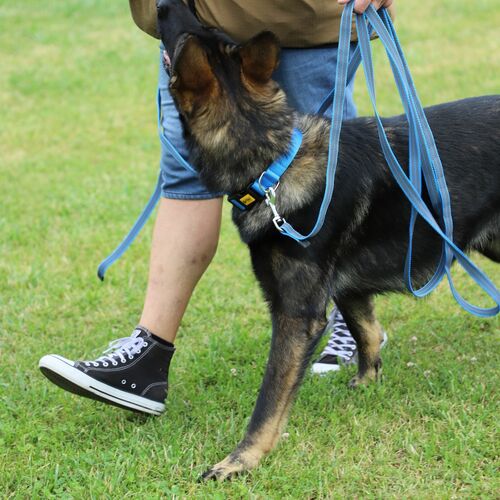 Product photo Anty-Slip Training Leash With Rubber 5