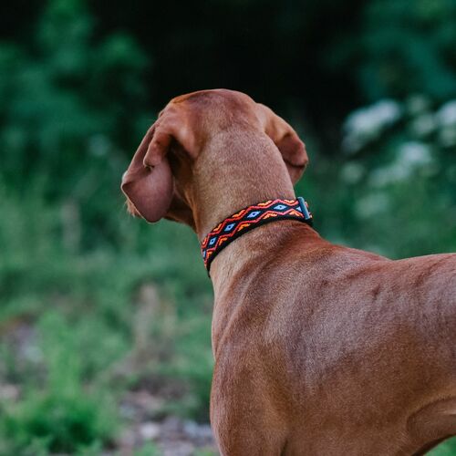 Product photo Winnetou Collar With Plastic Buckle 5