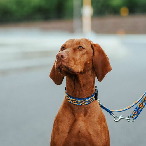 Product photo Winnetou Collar With Plastic Buckle 3