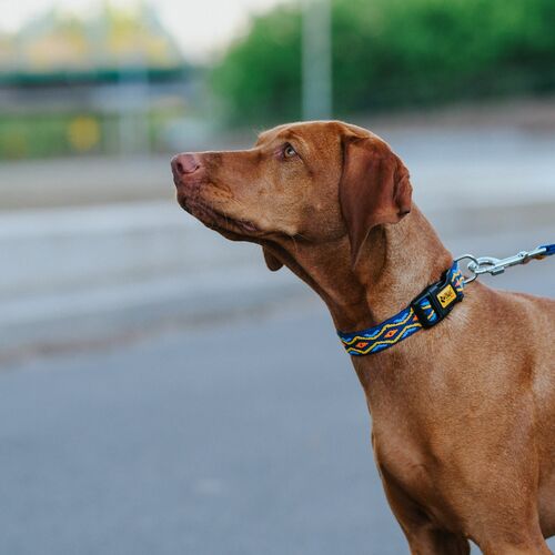 Product photo Winnetou Collar With Plastic Buckle 5