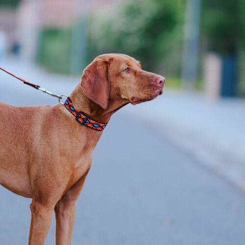 Product photo Winnetou Collar With Plastic Buckle 4