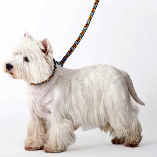 Product photo Winnetou Urban Leash 5