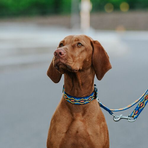 Product photo Winnetou Extendable Leash 7