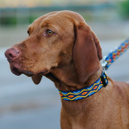 Product photo Winnetou Extendable Leash 10