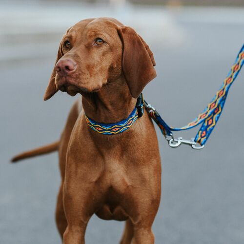 Product photo Winnetou Extendable Leash 4