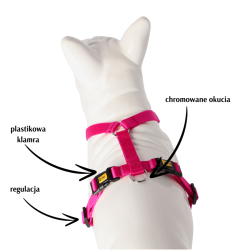 Product photo Energy Guard Harness, Pp Tape 2