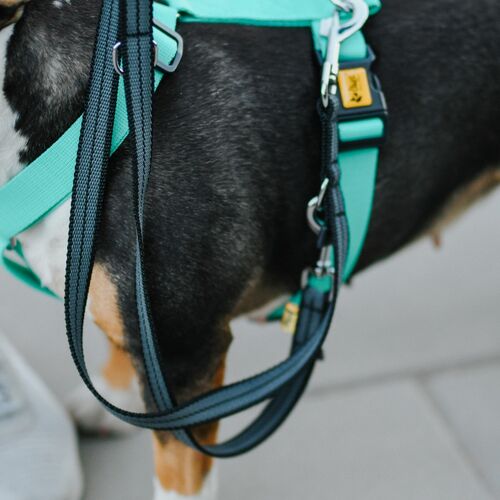 Product photo Energy Guard Harness, Pp Tape 5