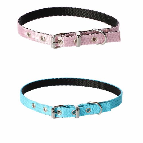 Product photo Energy 'Baby' Collar, Pp Tape 15
