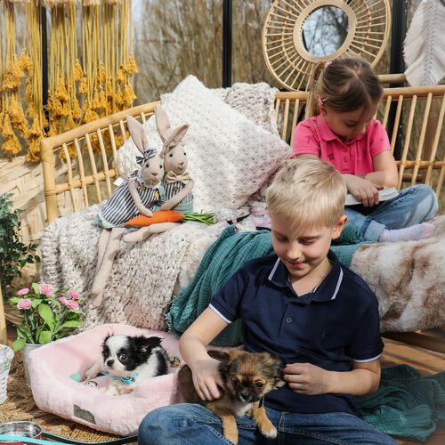 Zdjęcie produktu Obroża BABY z taśmy 10