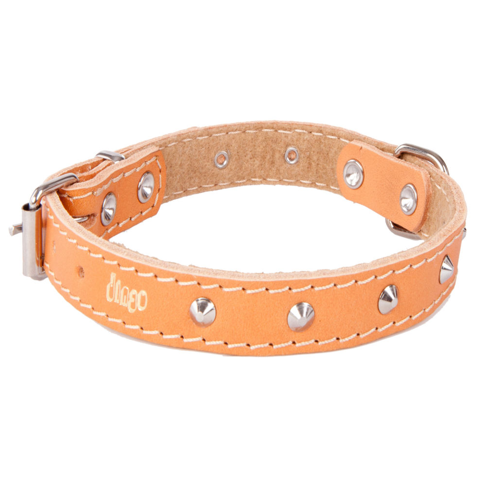 Product photo Classic Decorative Leather Collar