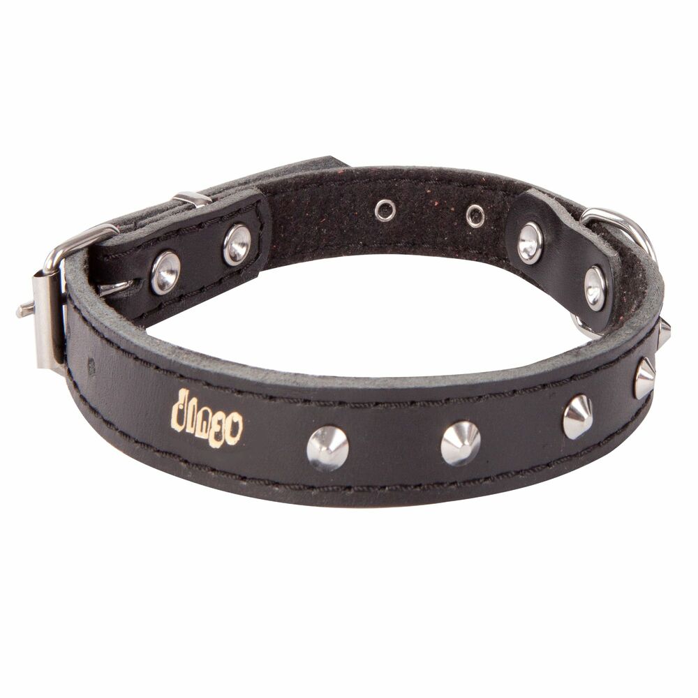 Product photo Classic Decorative Leather Collar