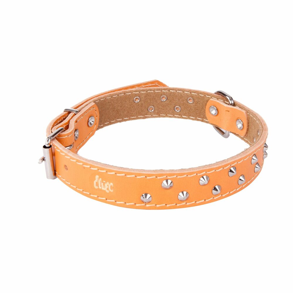 Product photo Classic Decorative Leather Collar