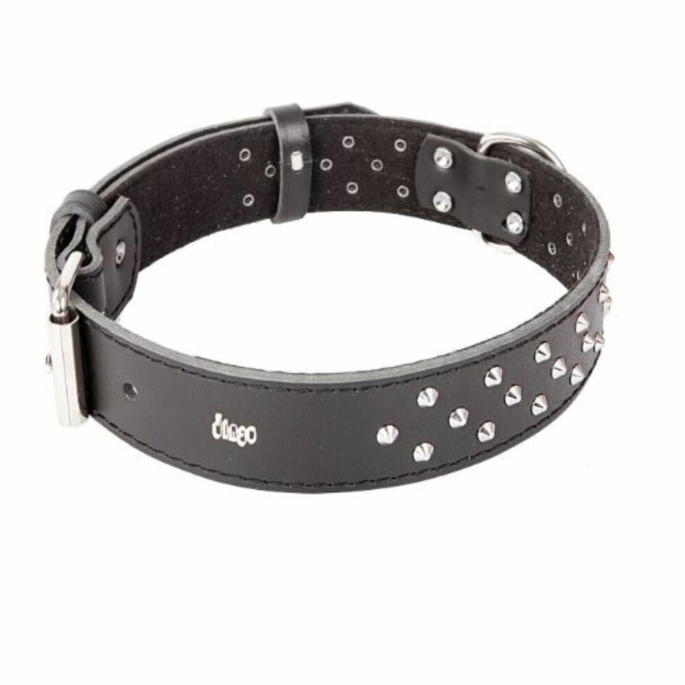 Product photo Classic Decorative Leather Collar