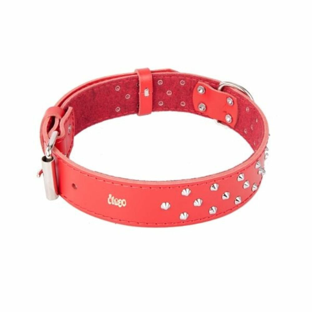 Product photo Classic Decorative Leather Collar