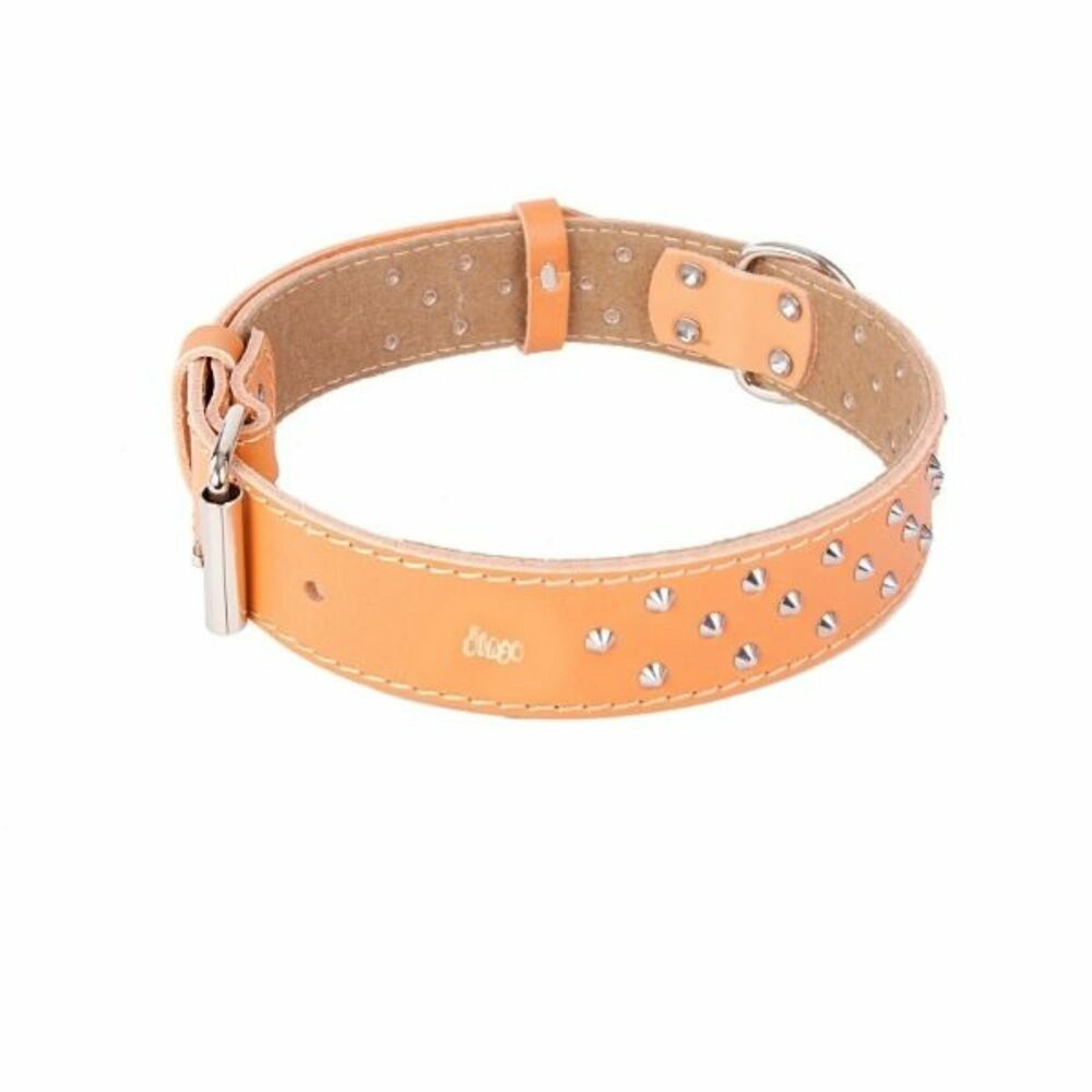 Product photo Classic Decorative Leather Collar