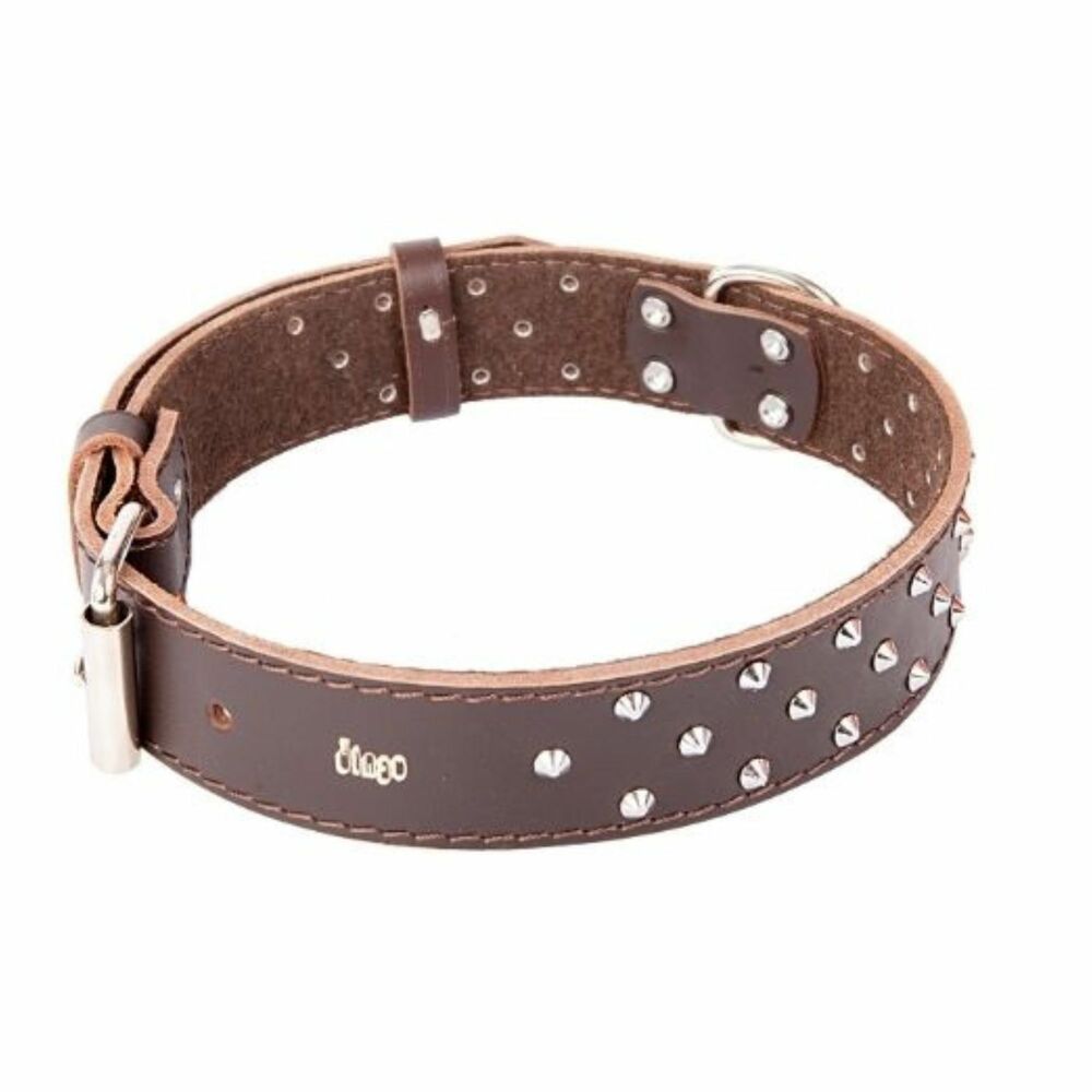 Product photo Classic Decorative Leather Collar