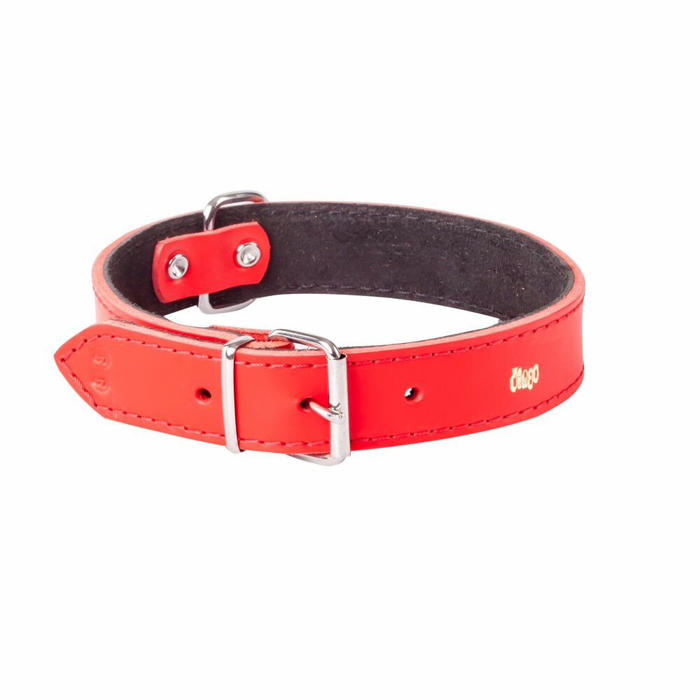 Product photo Classic Leather Collar, Padded With Suede