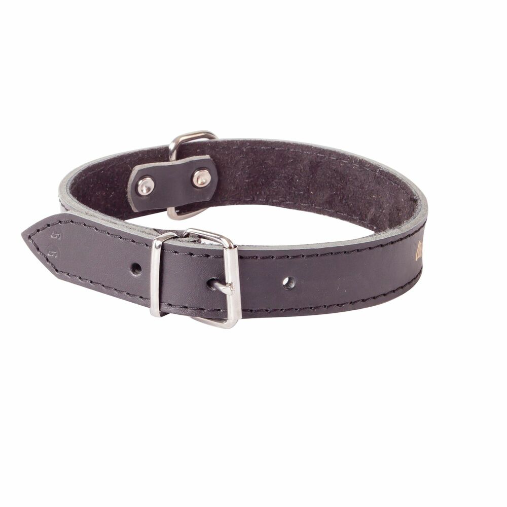 Product photo Classic Leather Collar, Padded With Suede