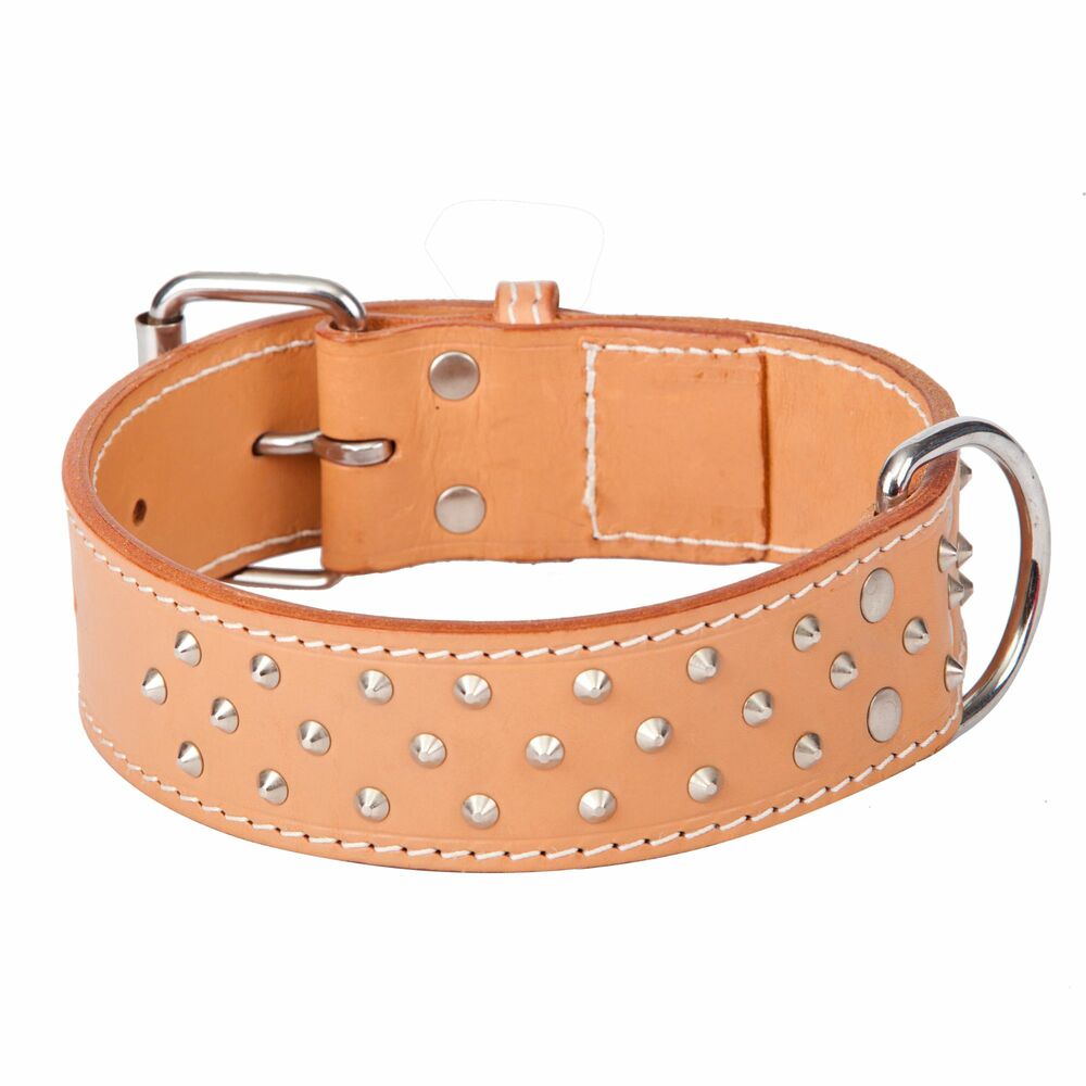 Product photo Classic Leather Extra Collar With Studs