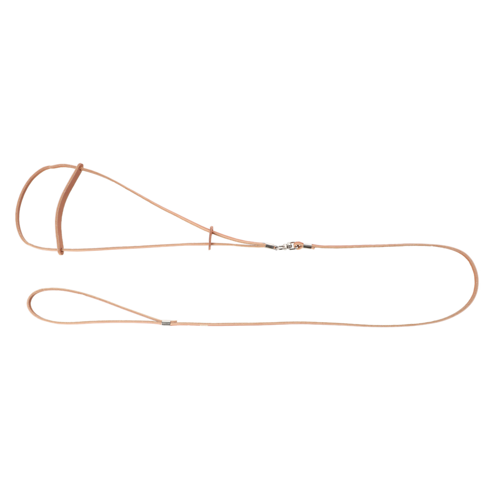 Product photo Classic Leather Show Leash