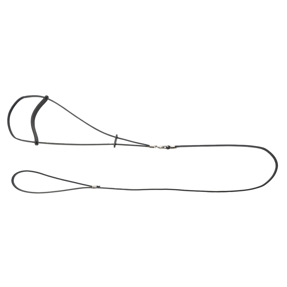 Product photo Classic Leather Show Leash