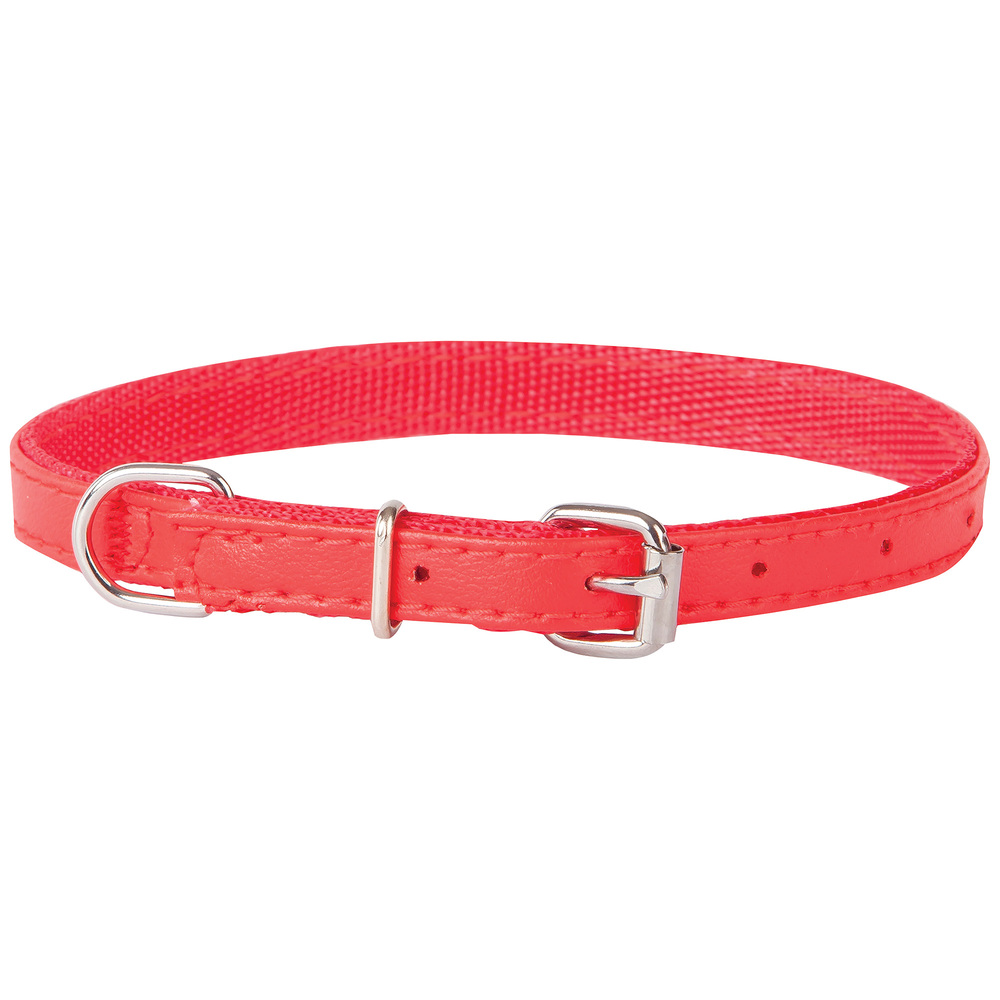 Product photo Basic Collar With Metal Buckle