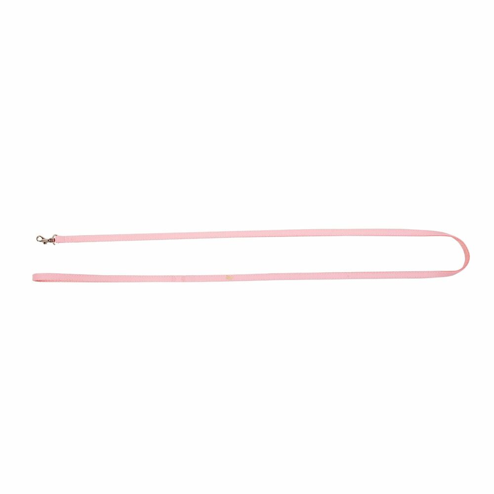 Product photo Basic Urban Leash