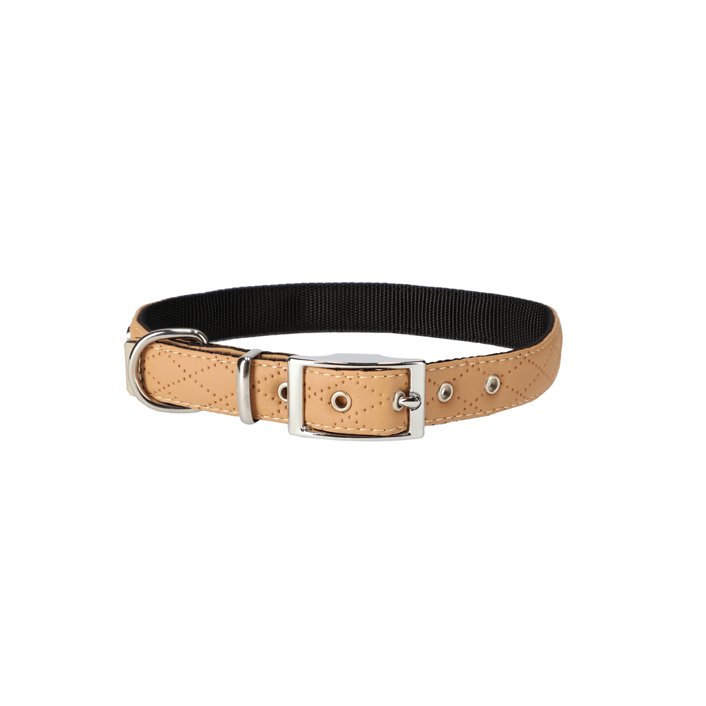 Product photo Terra Collar With Metal Buckle