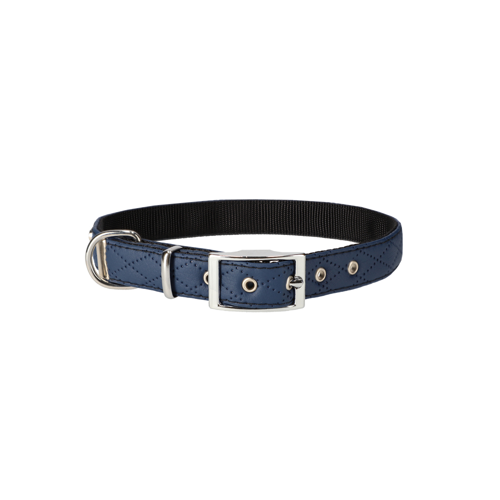 Product photo Terra Collar With Metal Buckle