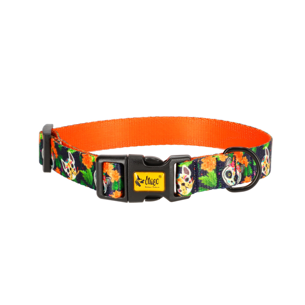 Product photo City Chiapas Collar