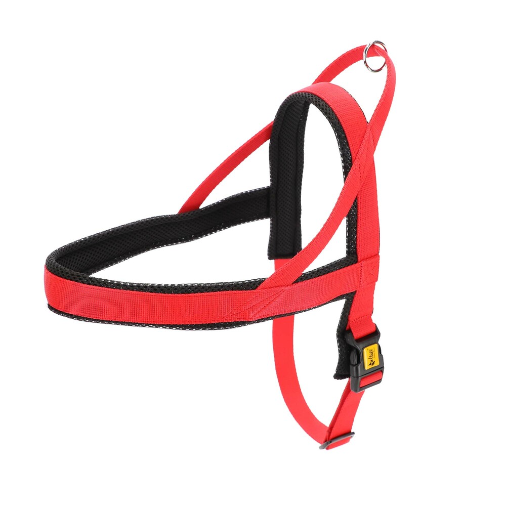 Product photo Norwegian Harness