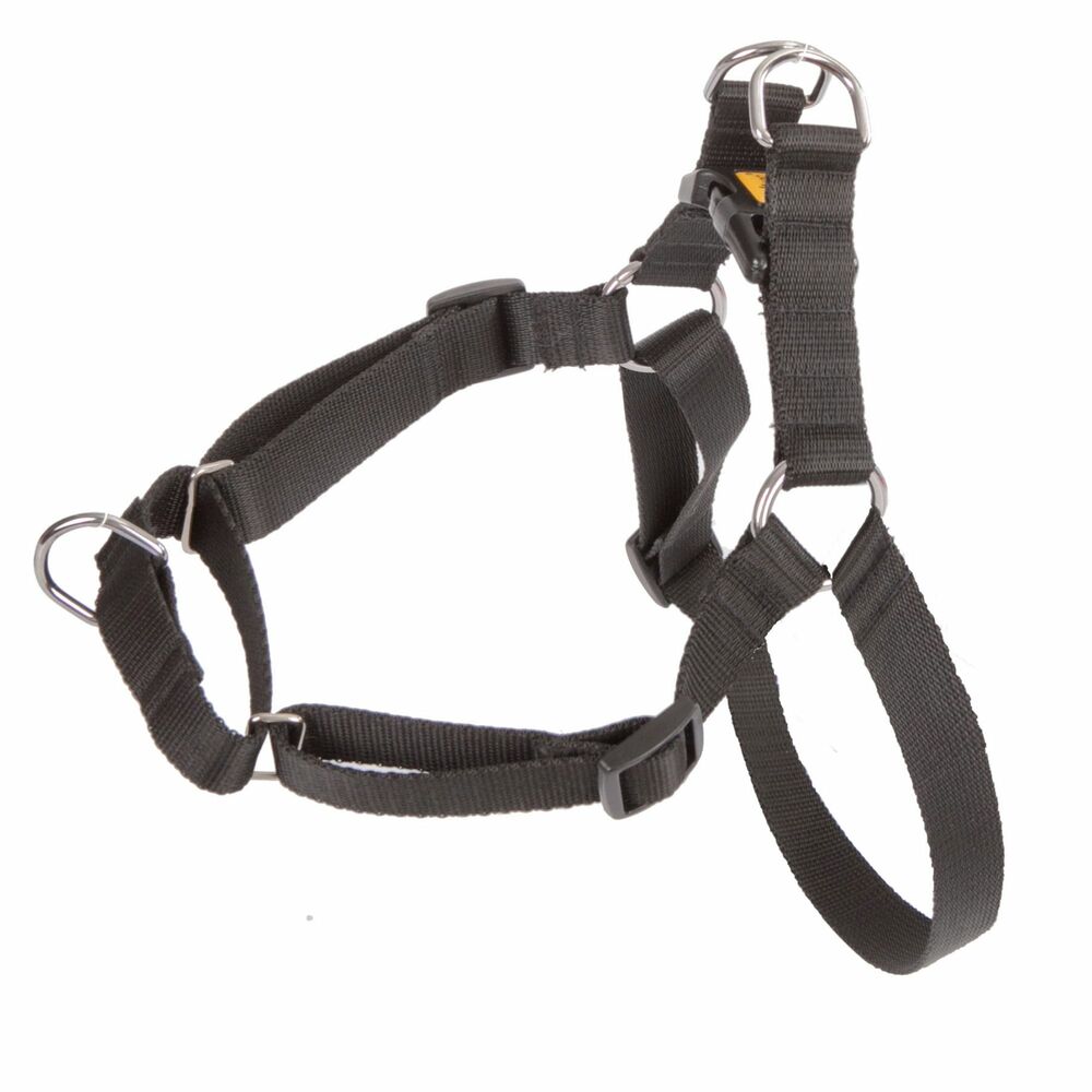 Product photo No Pull' Harness