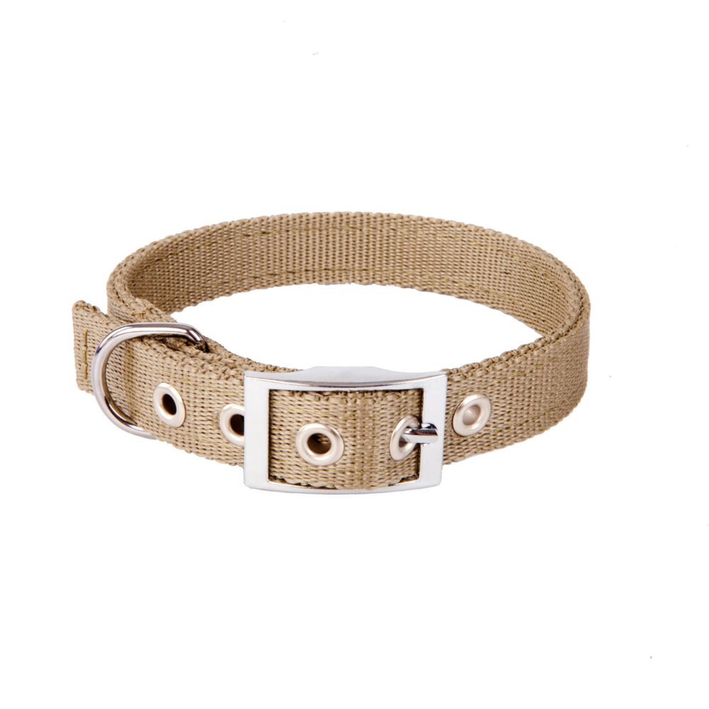 Product photo Extreme Collar - Double Tape